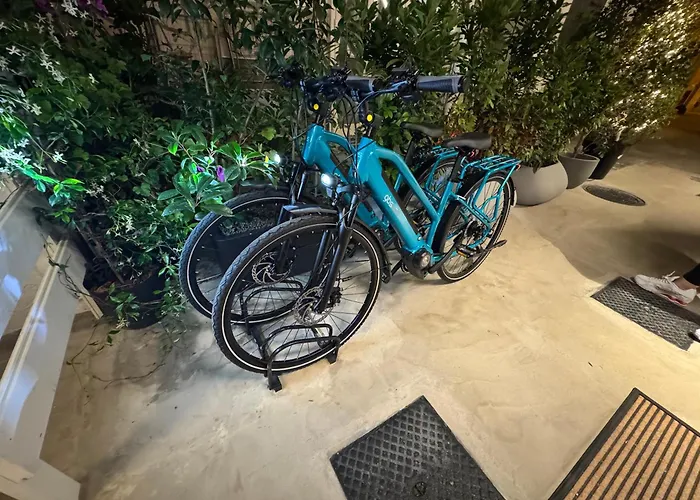 Harmonies 4* バーリ